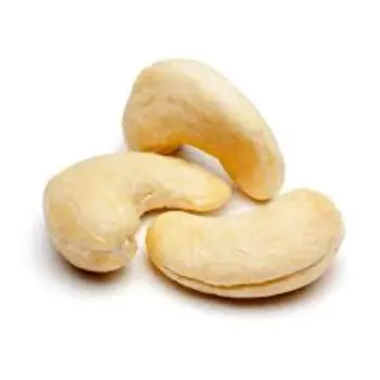 W240 Cashew Nuts
